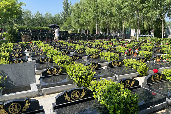 平原地区的天津公墓景观设计