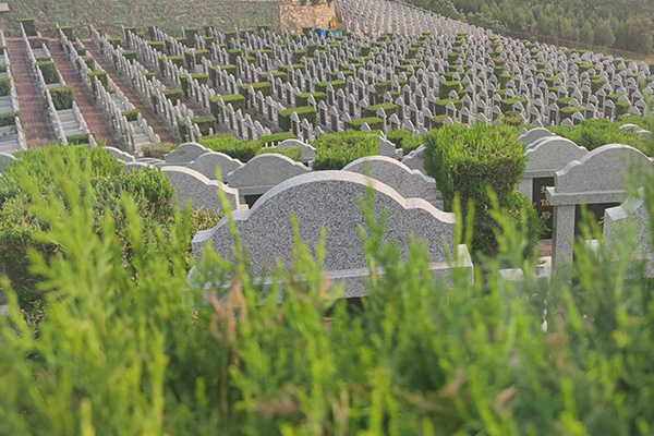 天津公墓销售超大墓碑是否有具体规定？