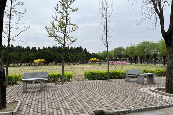 天津公墓的分类