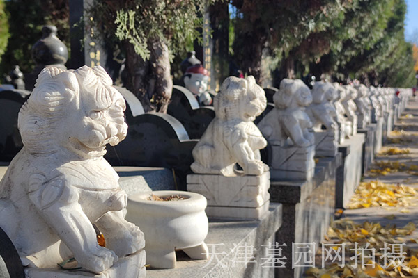 天津墓园价格表不同墓地价格结构与附加服务一览