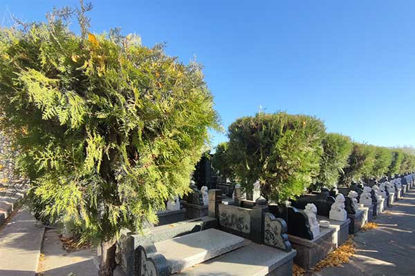 天津地区墓地价格及详细情况