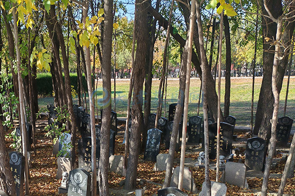 预约天津墓园,需要提供哪些信息呢？