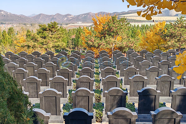 2026天津清明选墓全攻略：价格透明、墓园对比、流程避坑、原创实用指南