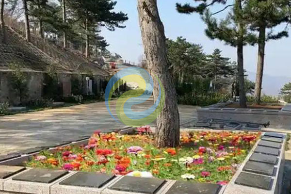 天津兰生园